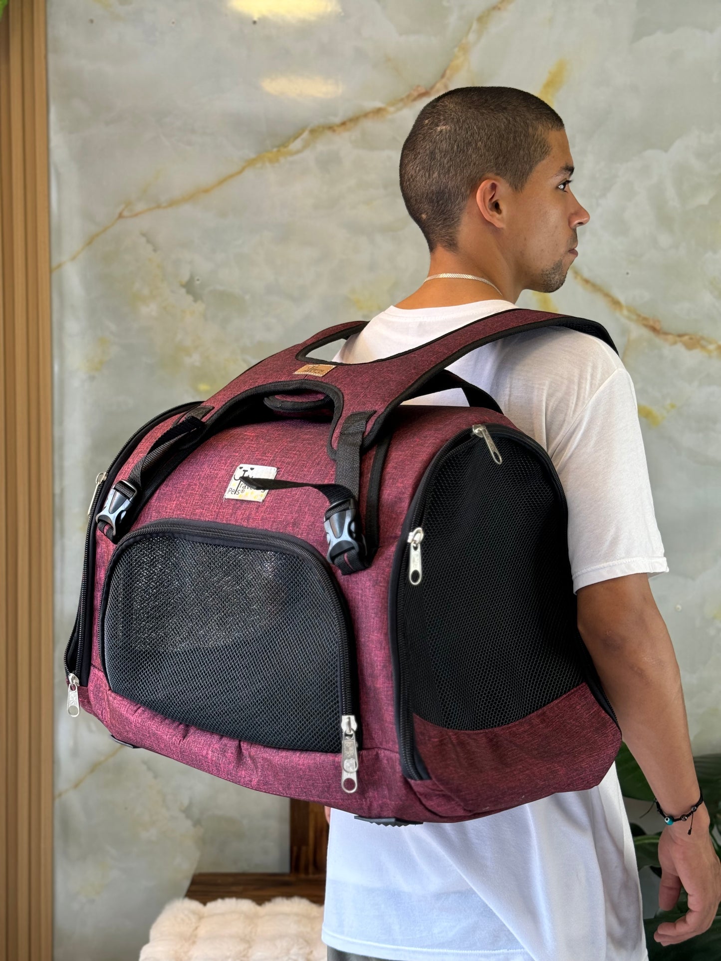 Maleta/Transportador