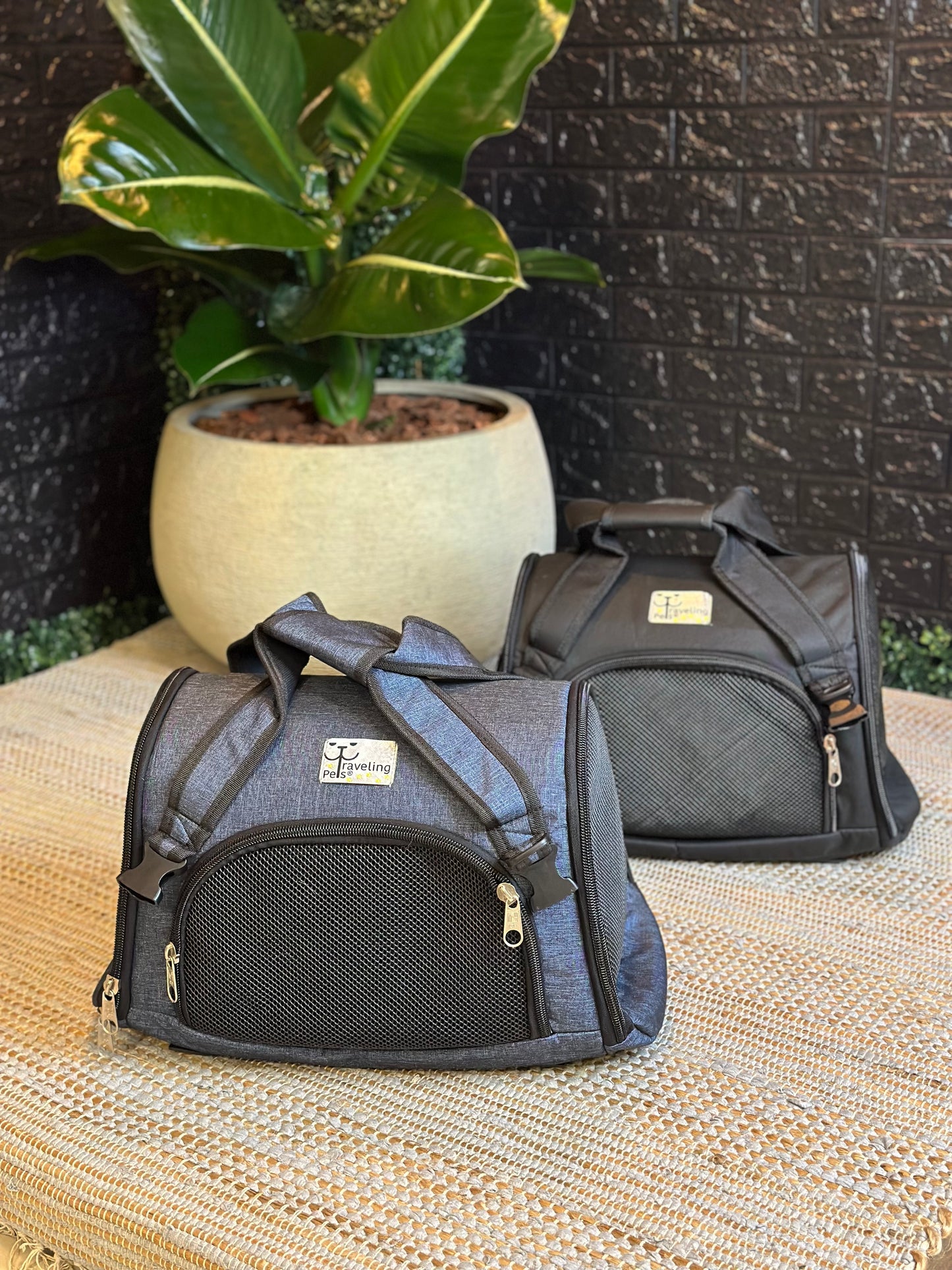 Maleta/Transportador