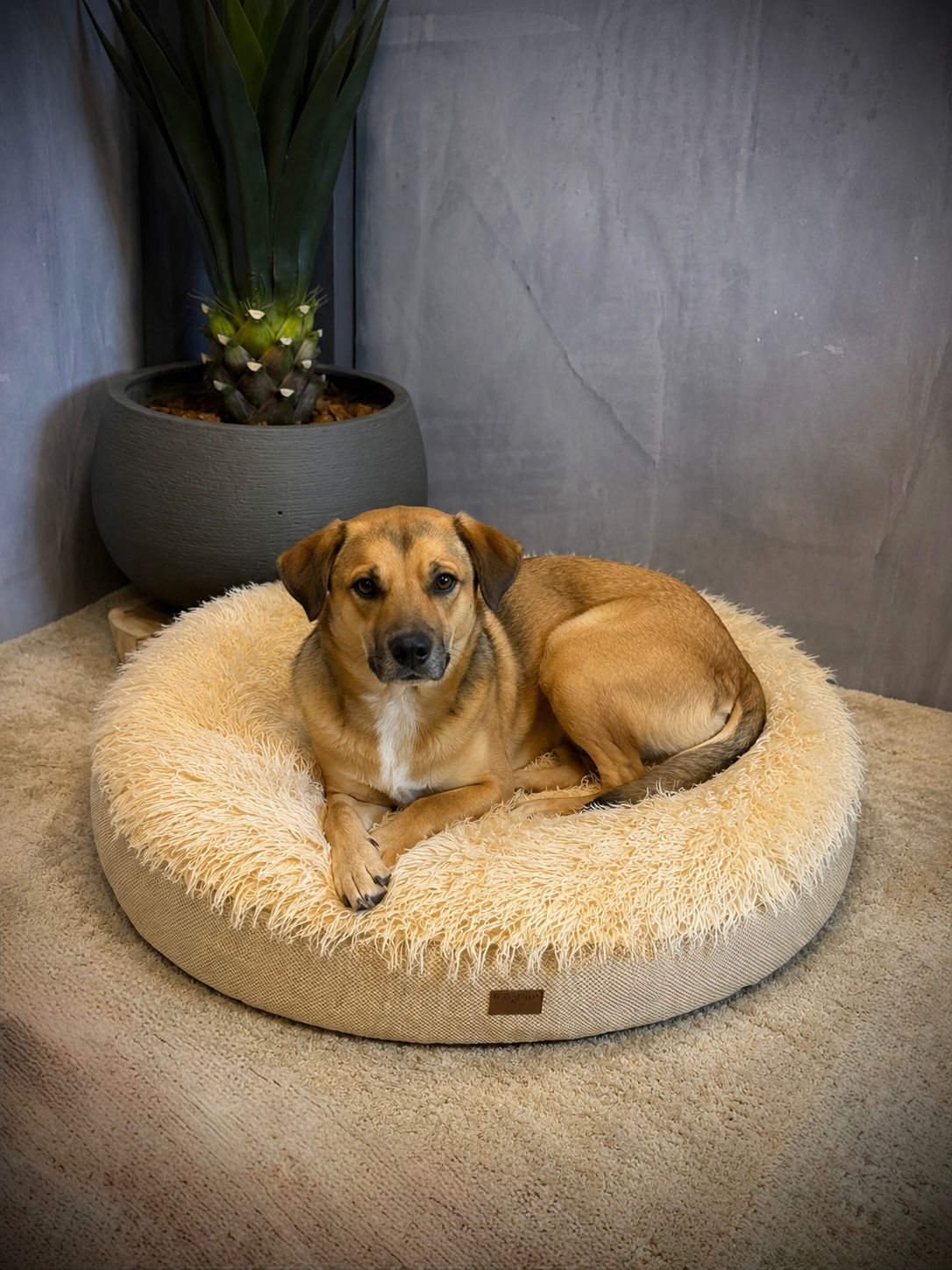Cama Redonda Premium Antiestrés para Perros y Gatos | Cama Suave Tipo Nube – Pets Art