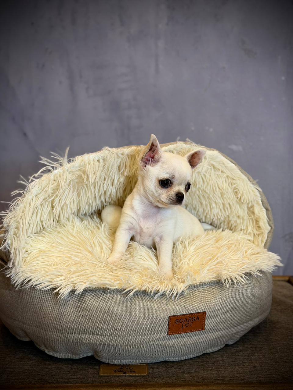 Cama Sofá Premium para Mascotas | Cama Peluche Suave y Elegante para Perros y Gatos – Pets Art