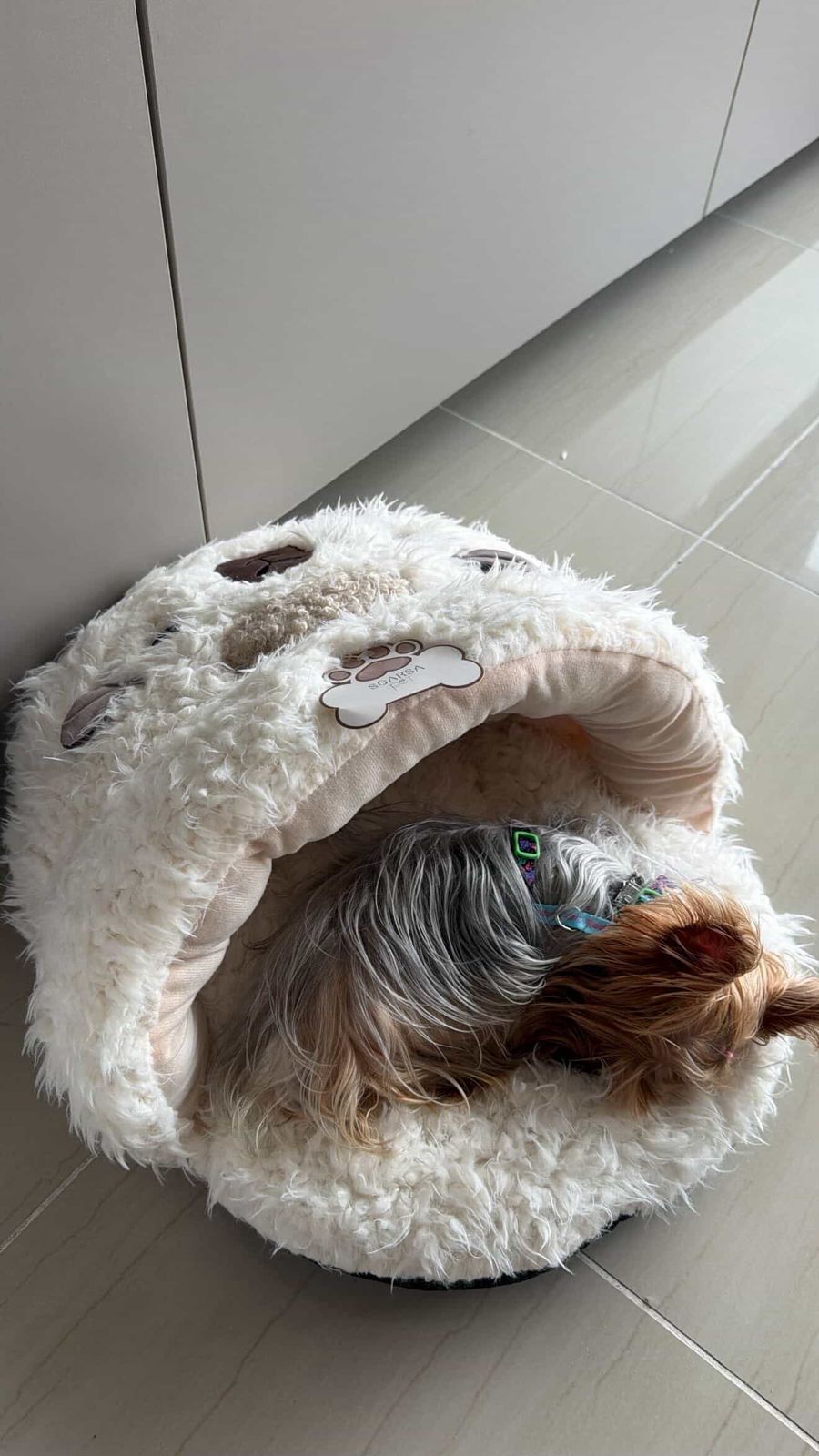 Cama Cueva Peluche Premium para Mascotas | Refugio Suave y Cálido para Perros y Gatos – Pets Art