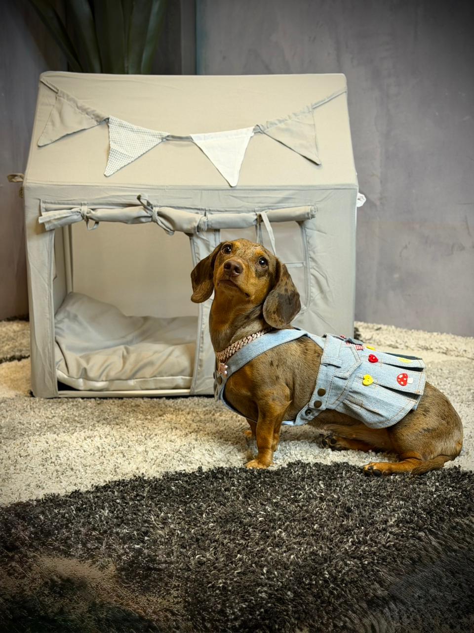 Casa Premium para Mascotas Tipo Carpa | Refugio Elegante y Minimalista para Perros y Gatos – Pets Art