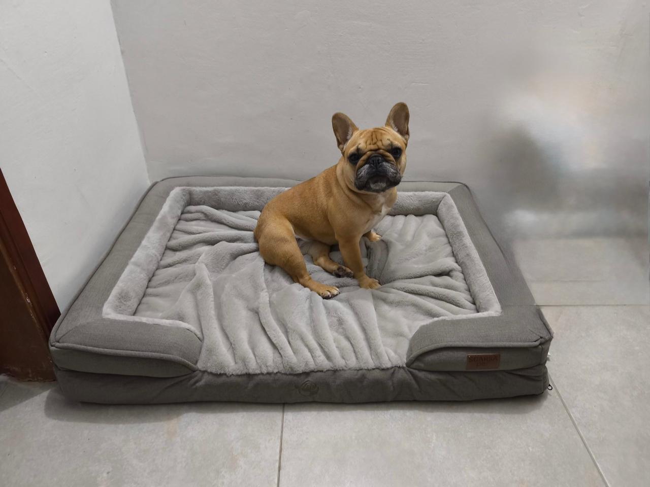 Cama Ortopédica Premium para Perros Medianos y Grandes | Cama Antiestrés con Cobija – Pets Art