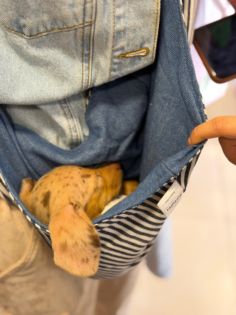 Bolso Cargador para Mascotas | Carrier Tipo Canguro Premium para Perros y Gatos – Pets Art
