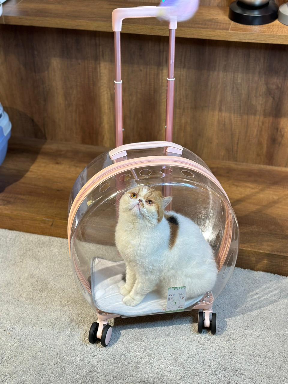 Maleta Transportadora con Ruedas para Gatos y Perros Pequeños | Carrier Premium Transparente – Pets Art