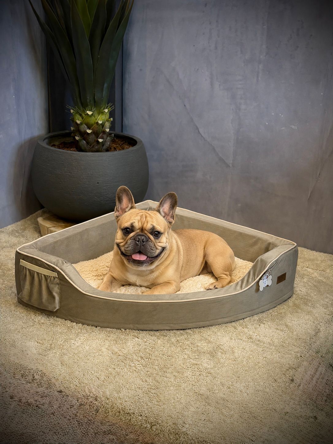 Cama Premium para Perros Medianos y Grandes | Sofá de Lujo para Mascotas – Pets Art