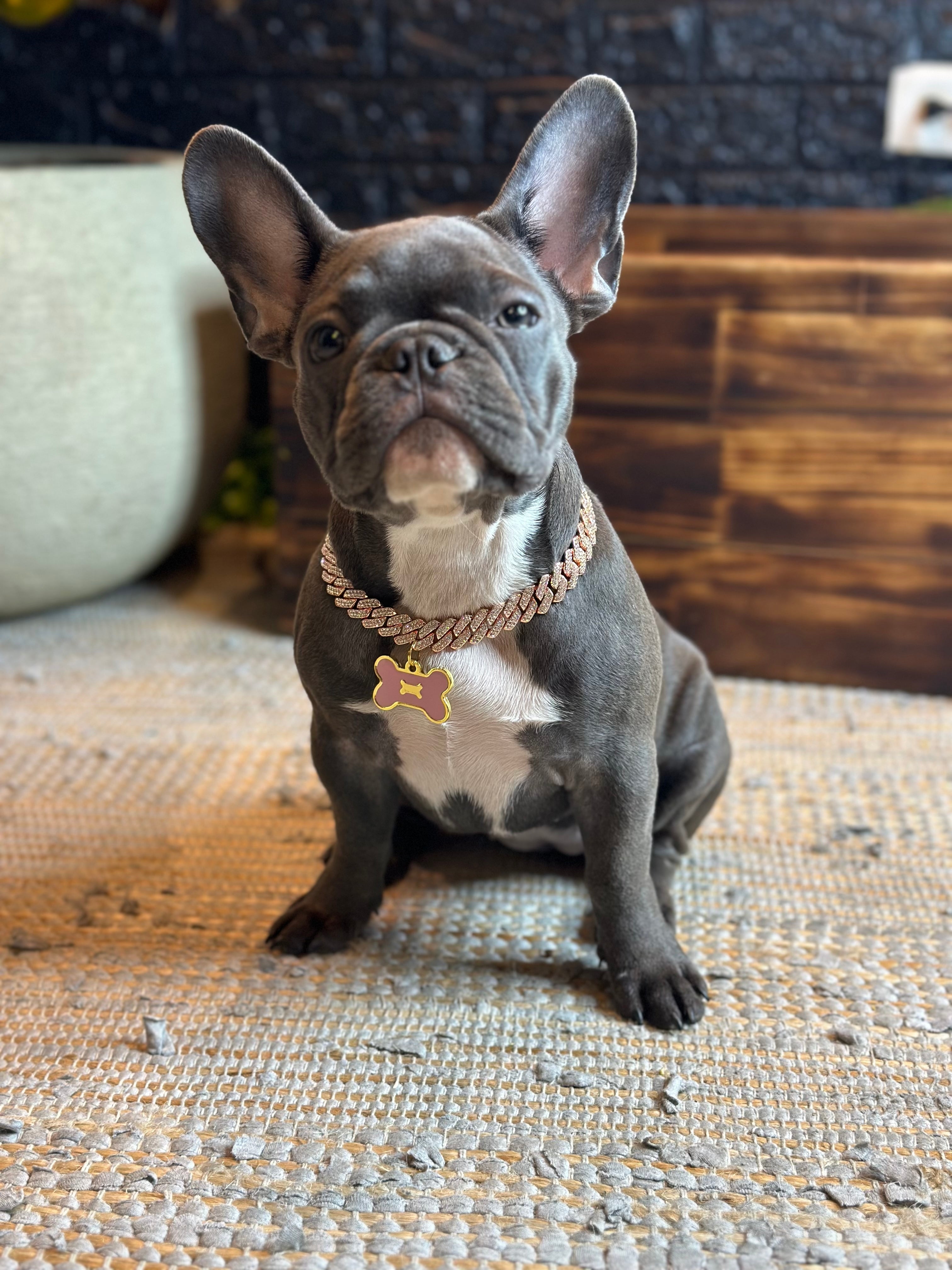 Cadena Acero Miami 15 mm