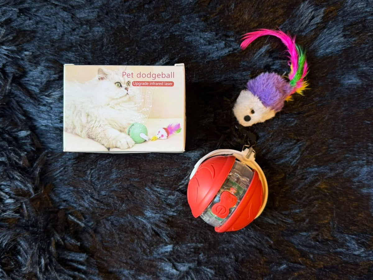 Pelota loca para gato con láser, recarga USB