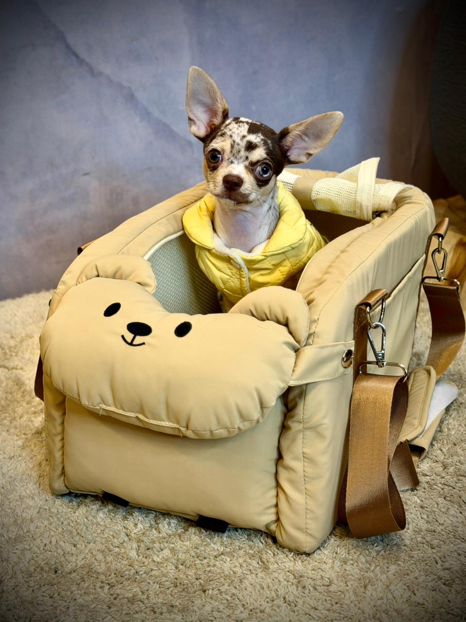 Silla Booster Premium para Mascotas | Asiento de Carro para Perros y Gatos Pequeños – Pets Art