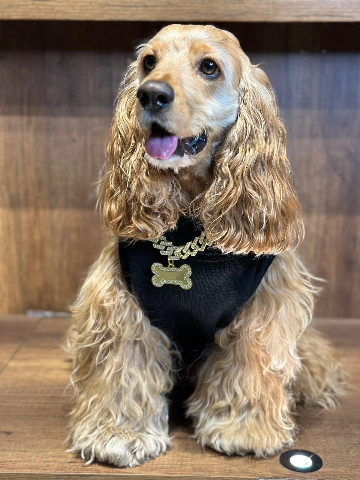 Cadena dorada diamantes