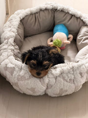 Cama Doble Faz Nube Premium para Mascotas | Cama Ultra Suave y Acolchada para Perros y Gatos – Pets Art