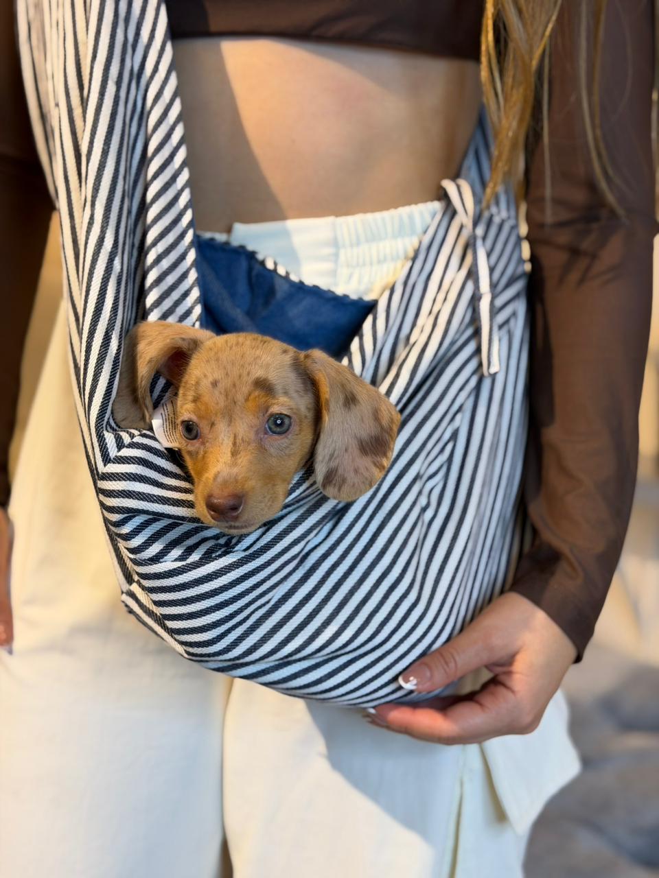 Bolso Cargador para Mascotas | Carrier Tipo Canguro Premium para Perros y Gatos – Pets Art