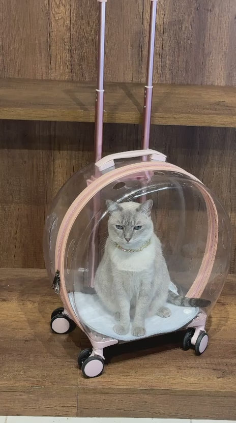Cargar vídeo: Maleta Transportadora con Ruedas para Gatos y Perros Pequeños | Carrier Premium Transparente – Pets Art