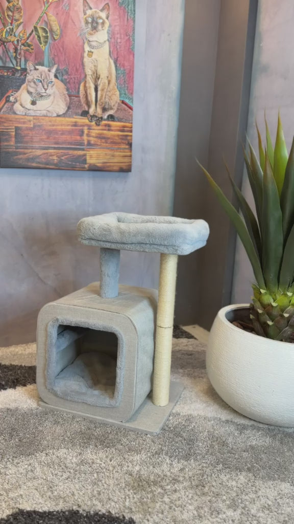 Cargar vídeo: Gimnasio Rascador para Gato | Pets Art