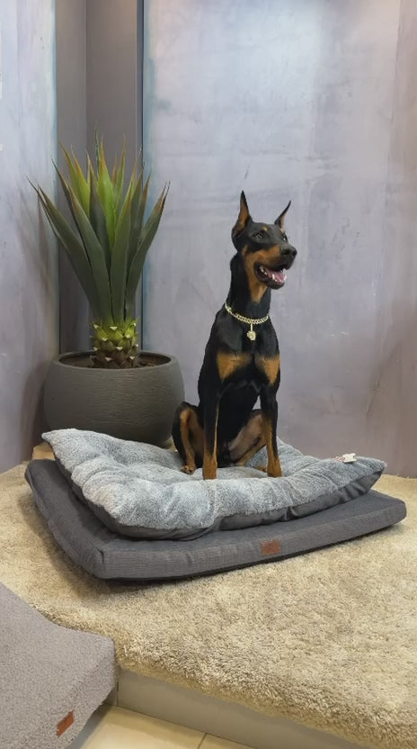 Cargar vídeo: Cama Premium Ortopédica para Perros Grandes | Colchoneta de Lujo para Mascotas – Pets Art
