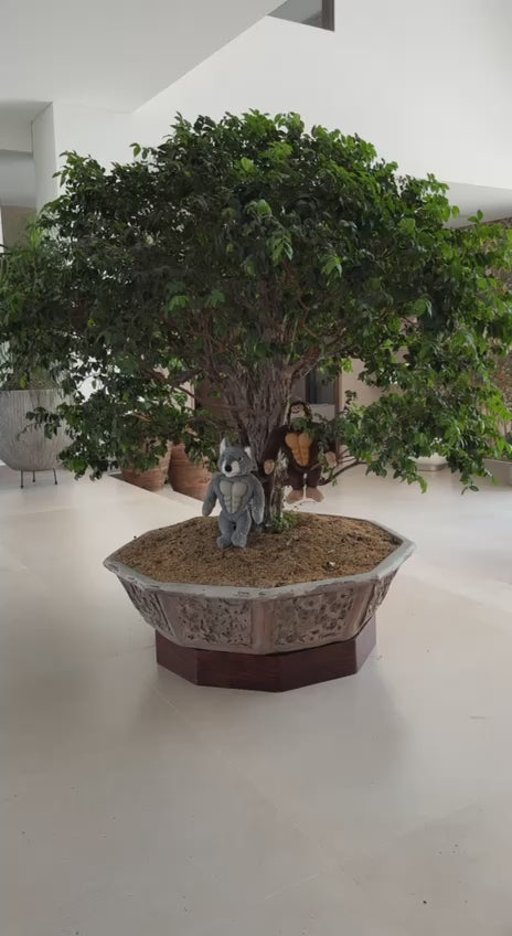 Cargar vídeo: Juguete interactivo Gorila